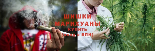 крисы Зеленодольск
