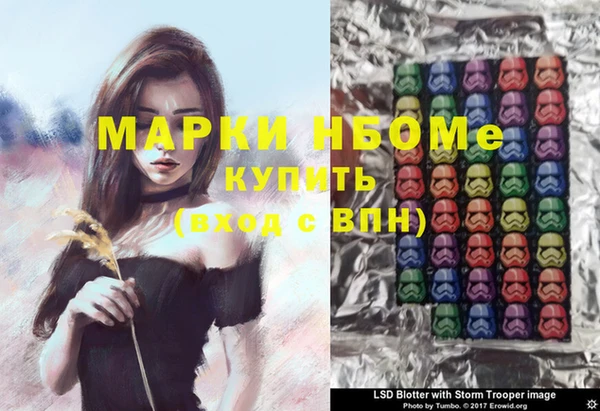 мет Инта