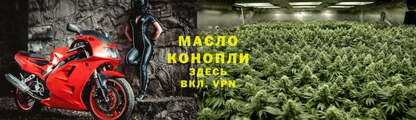 мет Инта