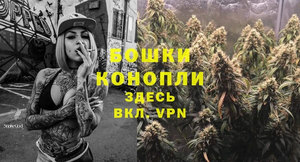 прущие крисы Инсар