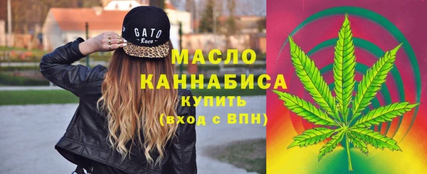 дмт Чегем