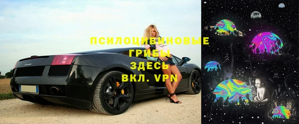 крисы Зеленодольск