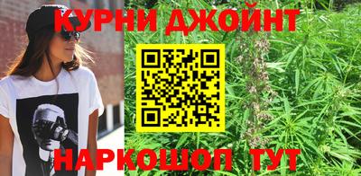 стаф Кимры