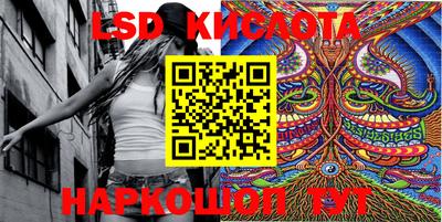 стаф Кимры