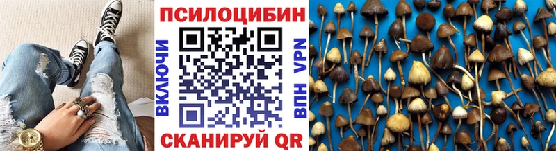 Псилоцибиновые грибы Psilocybine cubensis  магазин продажи наркотиков  Коркино 
