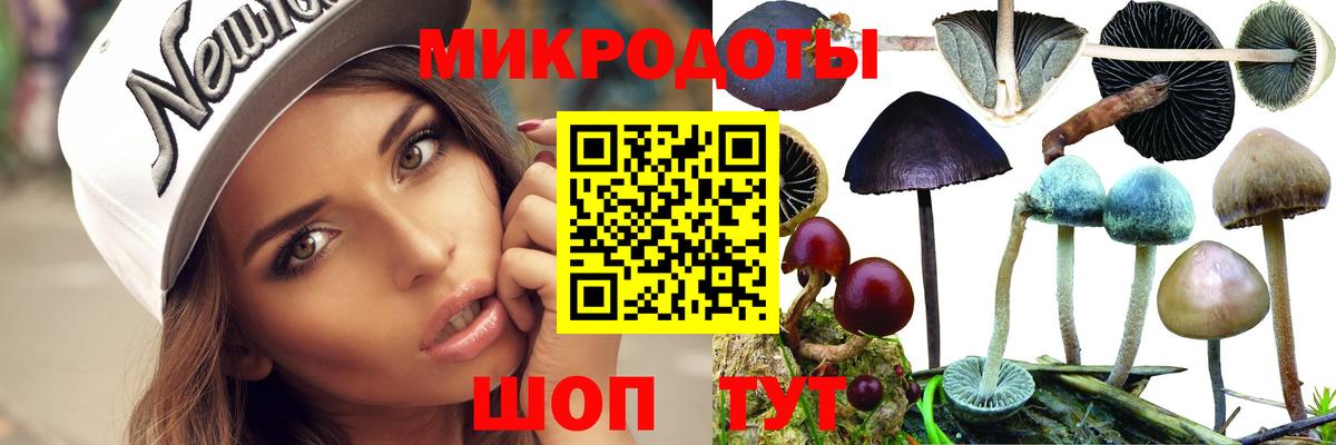 Псилоцибиновые грибы прущие грибы  Вход с VPN  что такое наркотик  Коркино 